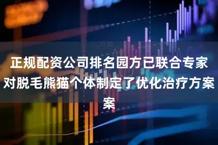 正规配资公司排名园方已联合专家对脱毛熊猫个体制定了优化治疗方案