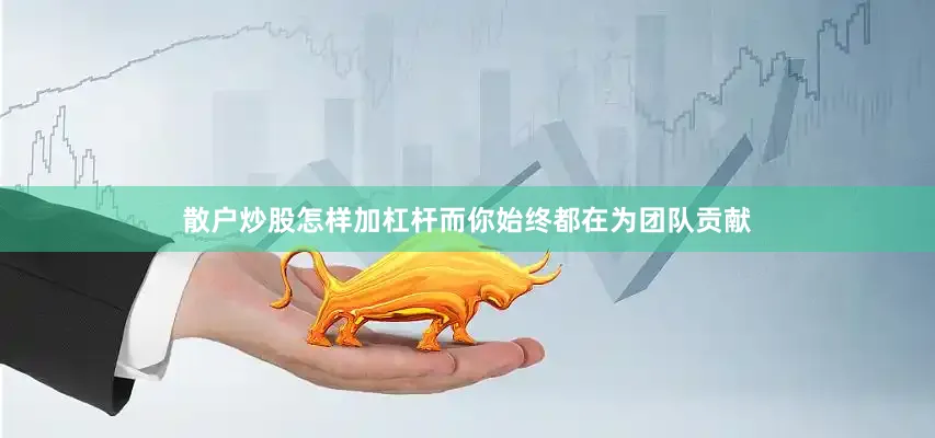 散户炒股怎样加杠杆而你始终都在为团队贡献