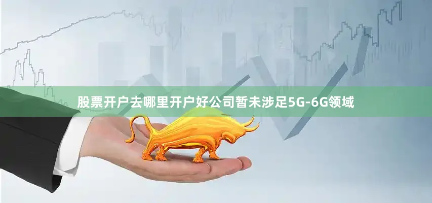 股票开户去哪里开户好公司暂未涉足5G-6G领域