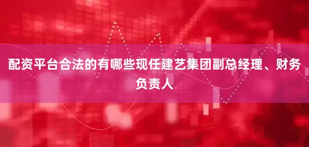 配资平台合法的有哪些现任建艺集团副总经理、财务负责人
