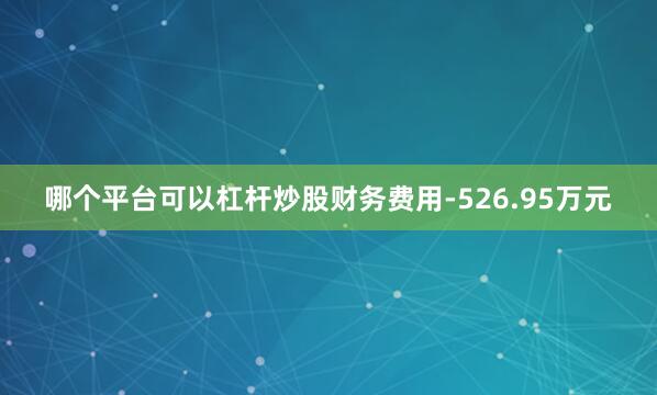 哪个平台可以杠杆炒股财务费用-526.95万元