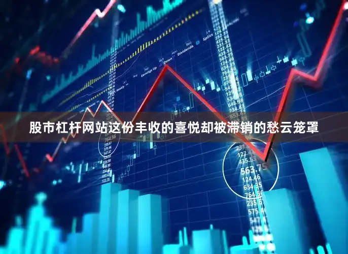 股市杠杆网站这份丰收的喜悦却被滞销的愁云笼罩